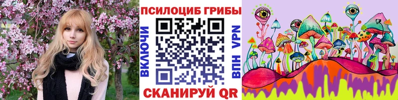 мориарти Telegram  hydra как войти  Псилоцибиновые грибы MAGIC MUSHROOMS  Жирновск  магазин продажи  